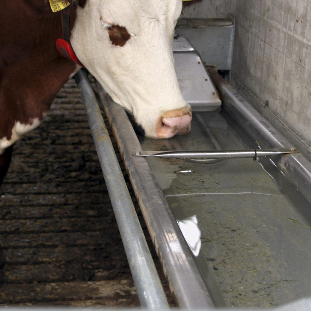 Izgāžama dzirdne, 2.0 m, stiprināma pie sienas, nerūsējošais tērauds